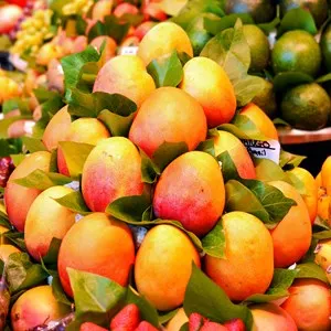 Fresh colorful tropical mango on display at farmers fruits market