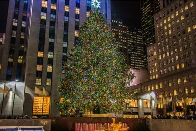 New York City DiscoveryImage