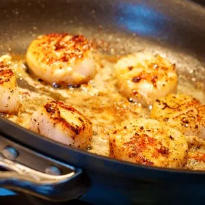 Sizzling pan seared wild sea scallops in butter and olive oil with parsley in a frying pan on a gas stove top.