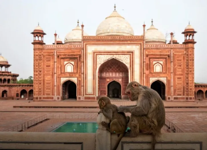 Agra photo 5