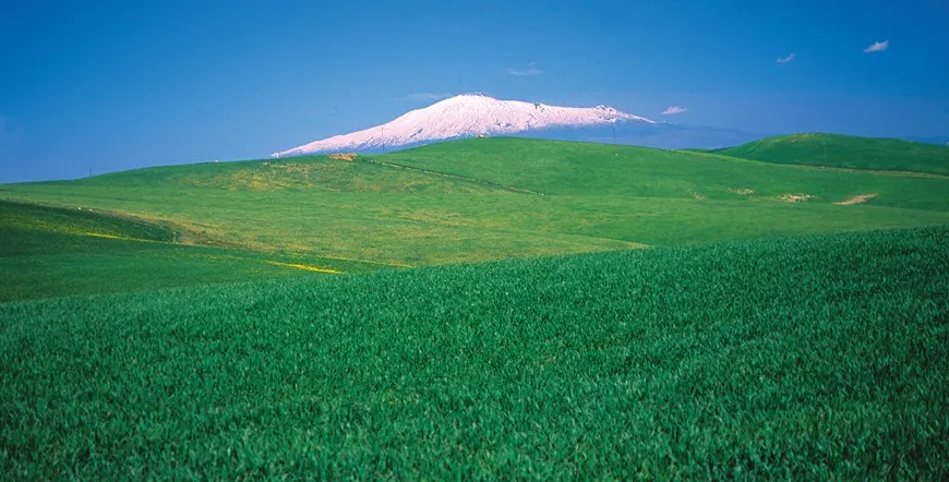 Classic Sicily Drive Vacation from Catania