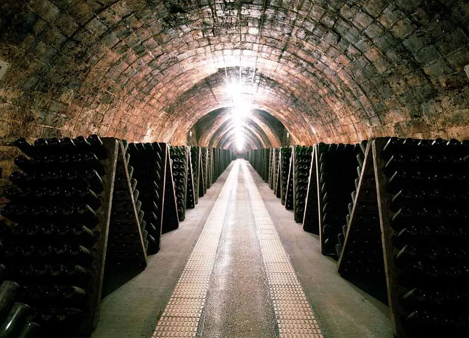 Argentina and Chile Wine Country Explorer