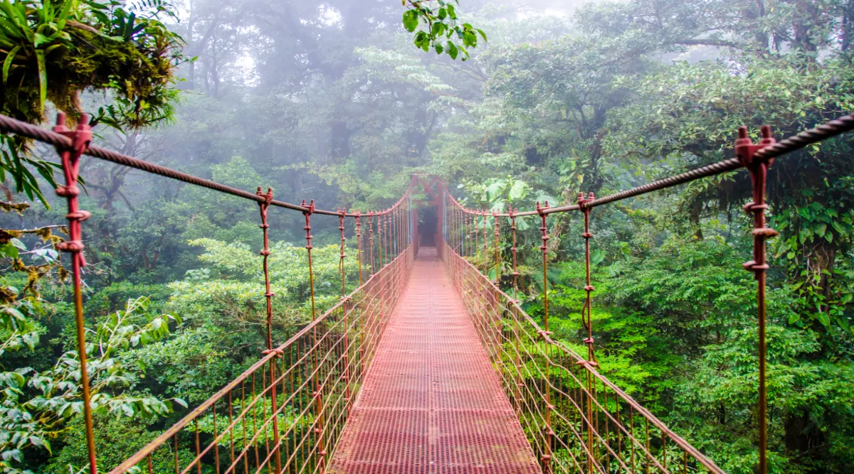 Costa Rica Beach Lovers Adventure 
