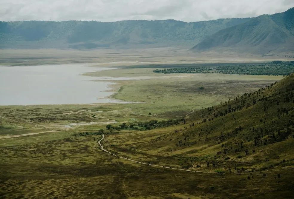 A Taste of Tanzania