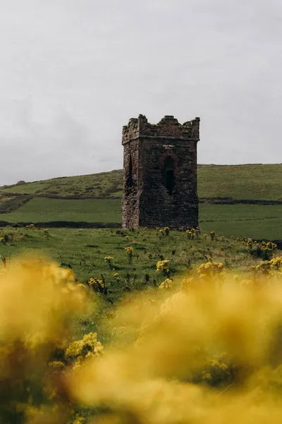 Dingle