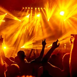 People enjoying a concert - San Francisco, California