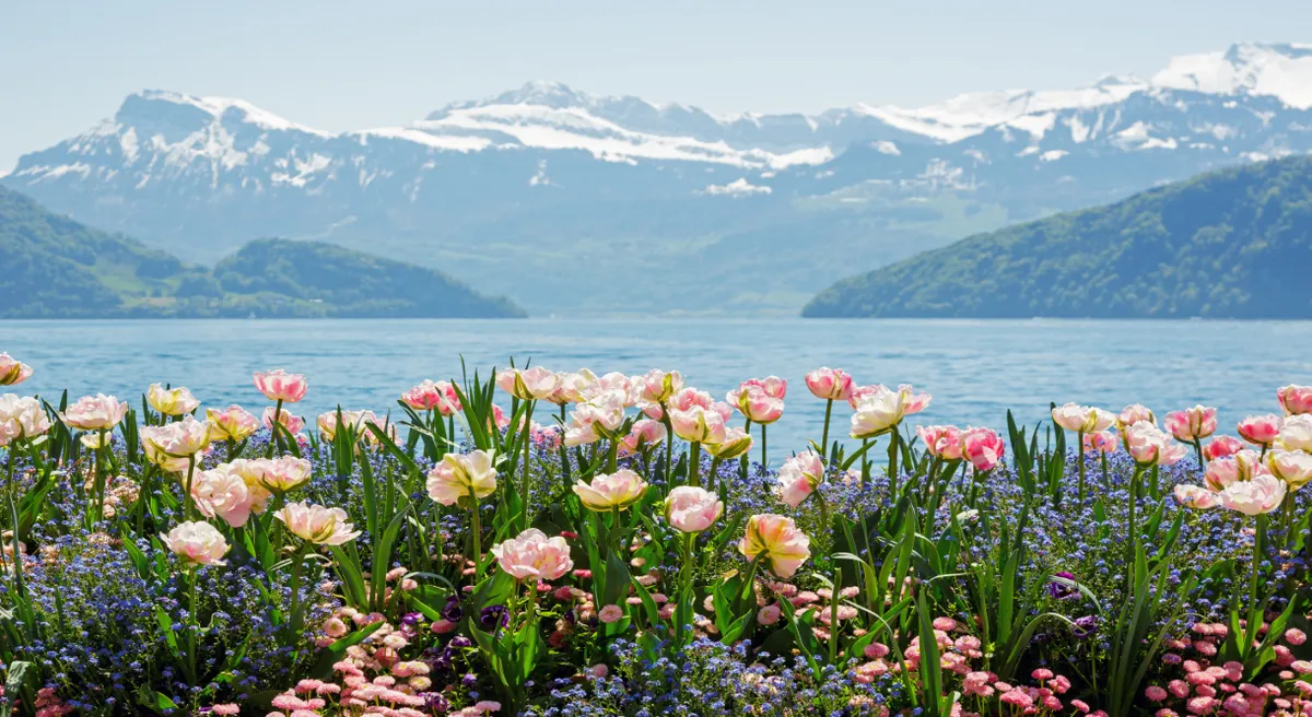 Swiss Peaks and Italian Lakes Private Journey