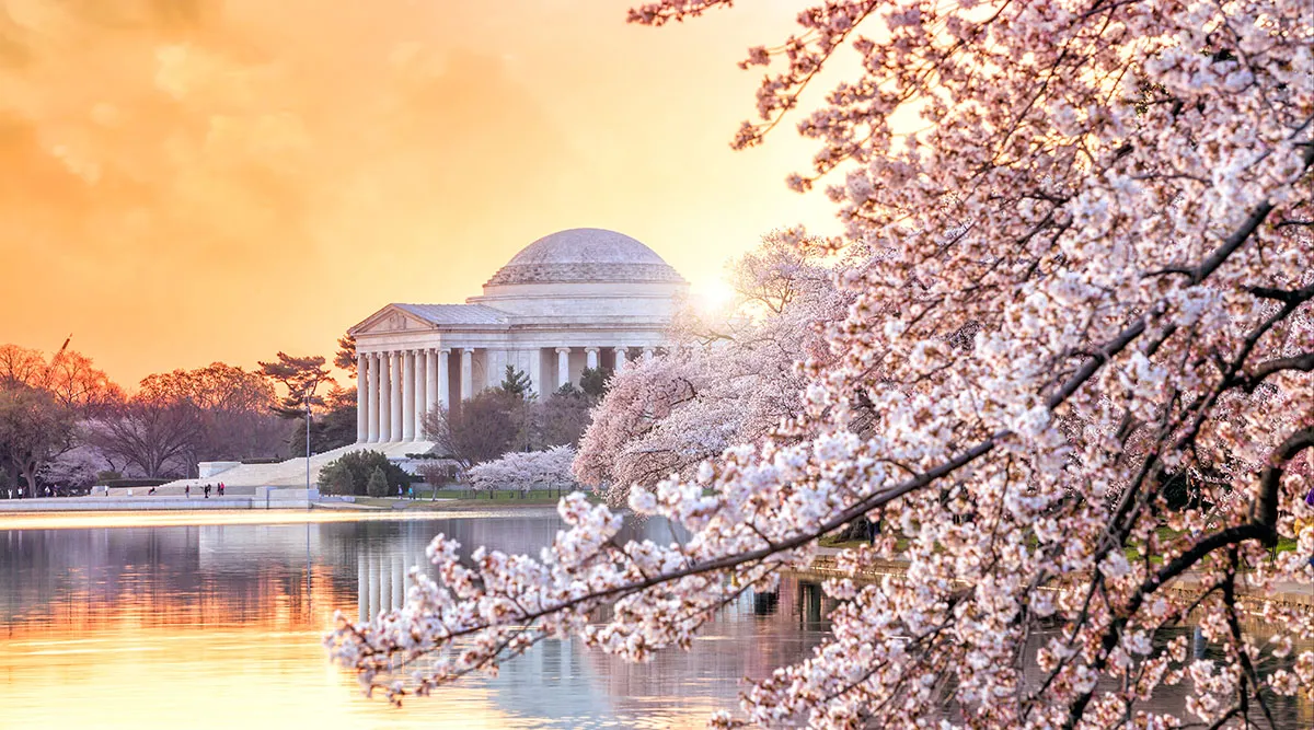 Virginia for Lovers Private Journey