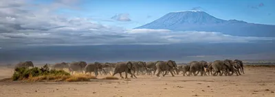 Amboseli National Park