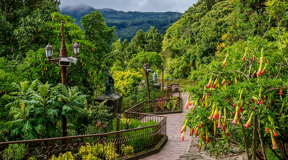Bogota Discovery