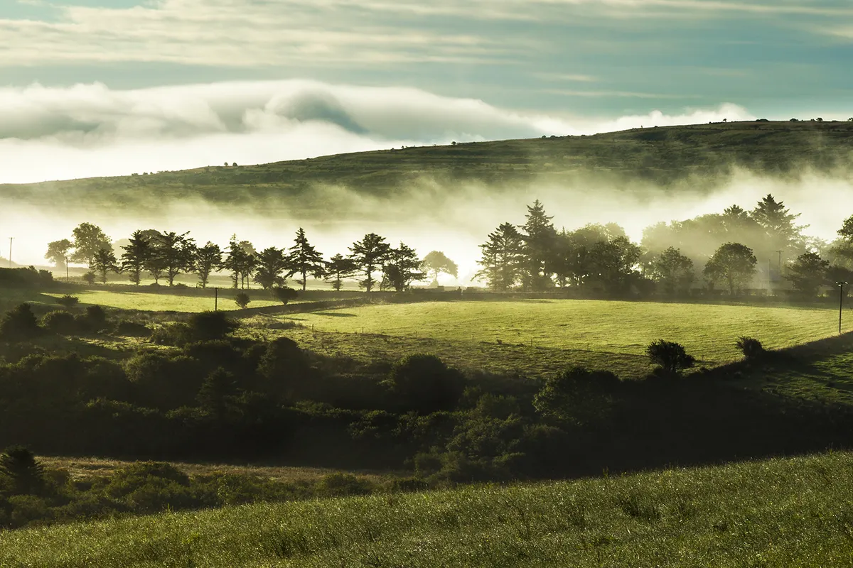 Self Drive Gastronomical Journey of Ireland