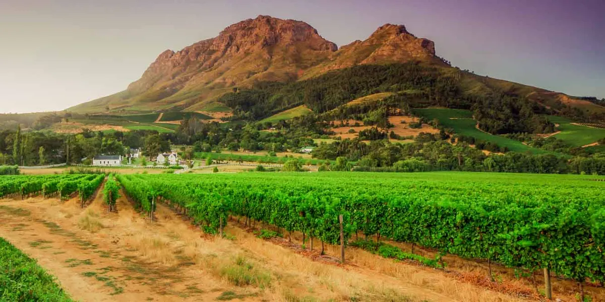 Cape Town and Winelands Escapade