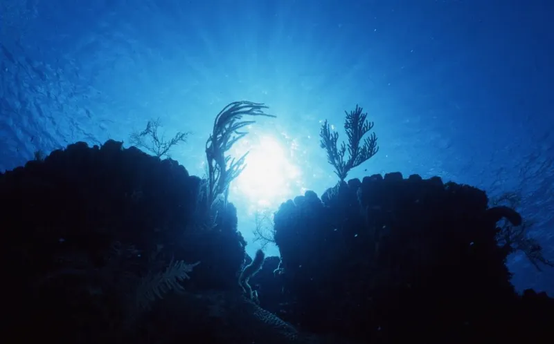 Little Cayman