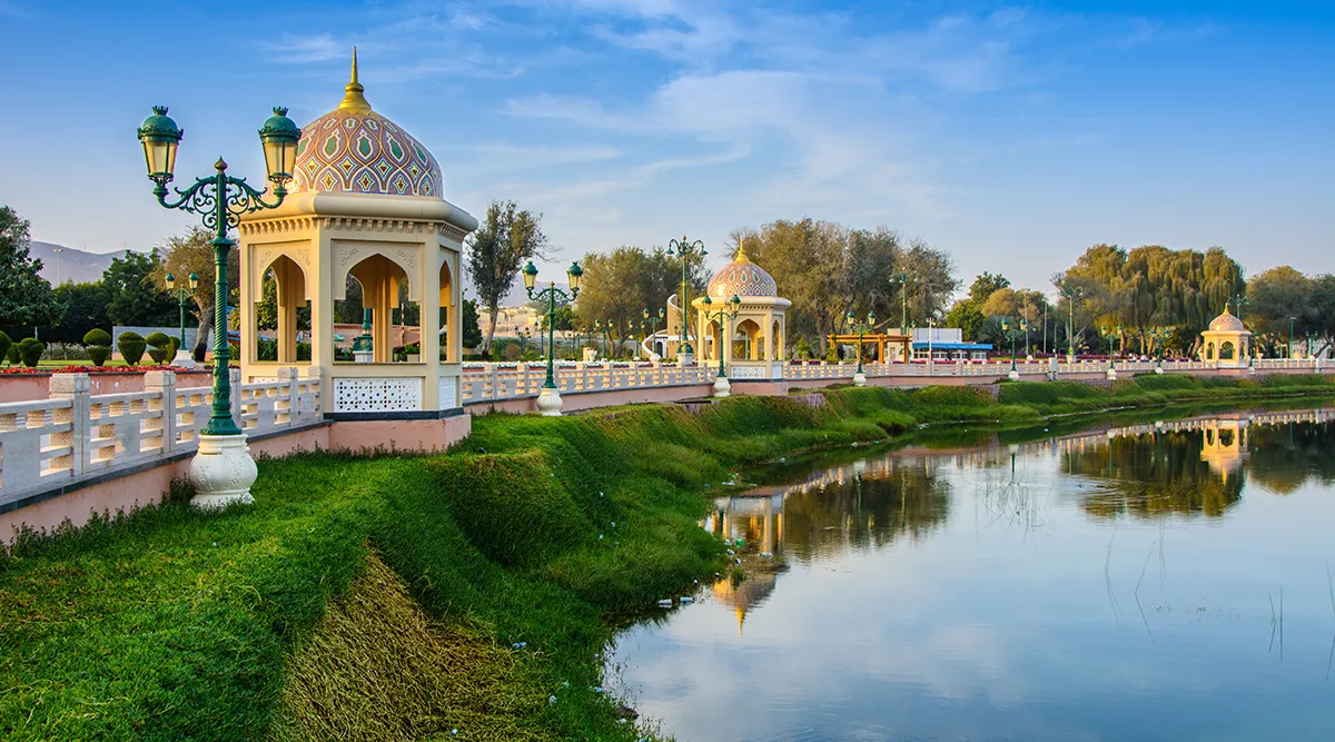 Muscat Discovery