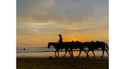 Tamarindo