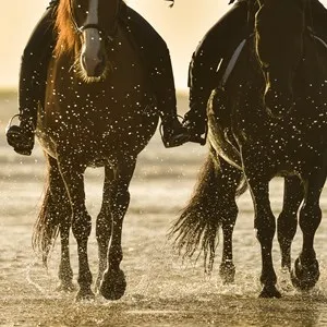 Horse riding on the beach at sunset.