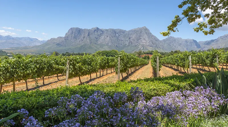 Cape Town 