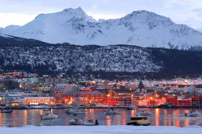 Patagonia & Antarctica: The Ultimate Expedition