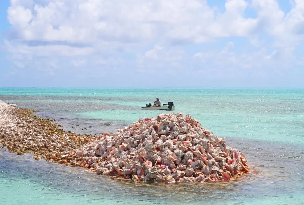 Anegada
