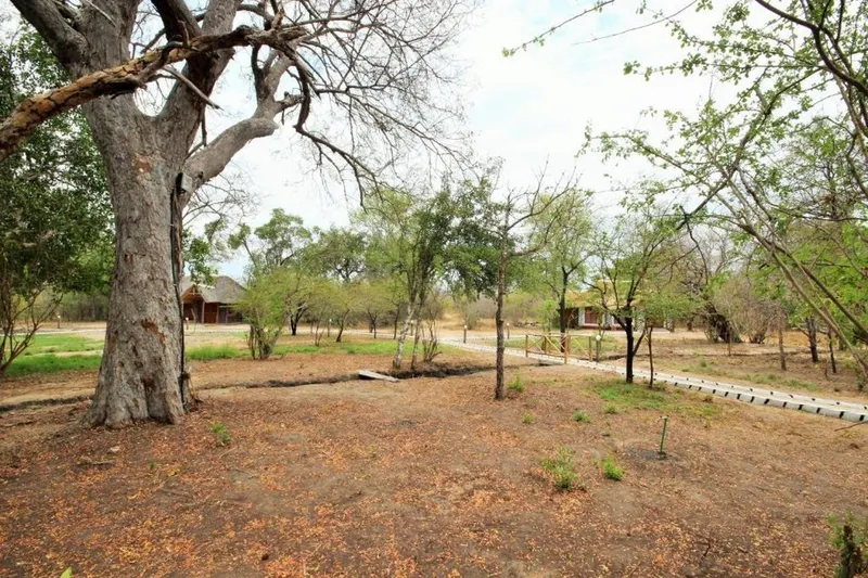 Main photo of Africa Safari Selous hotel