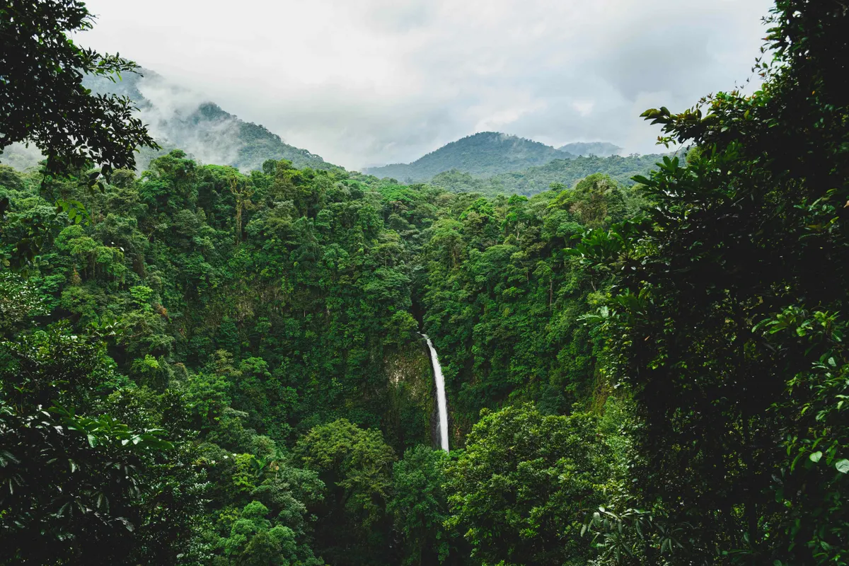 Costa Rica Adventure