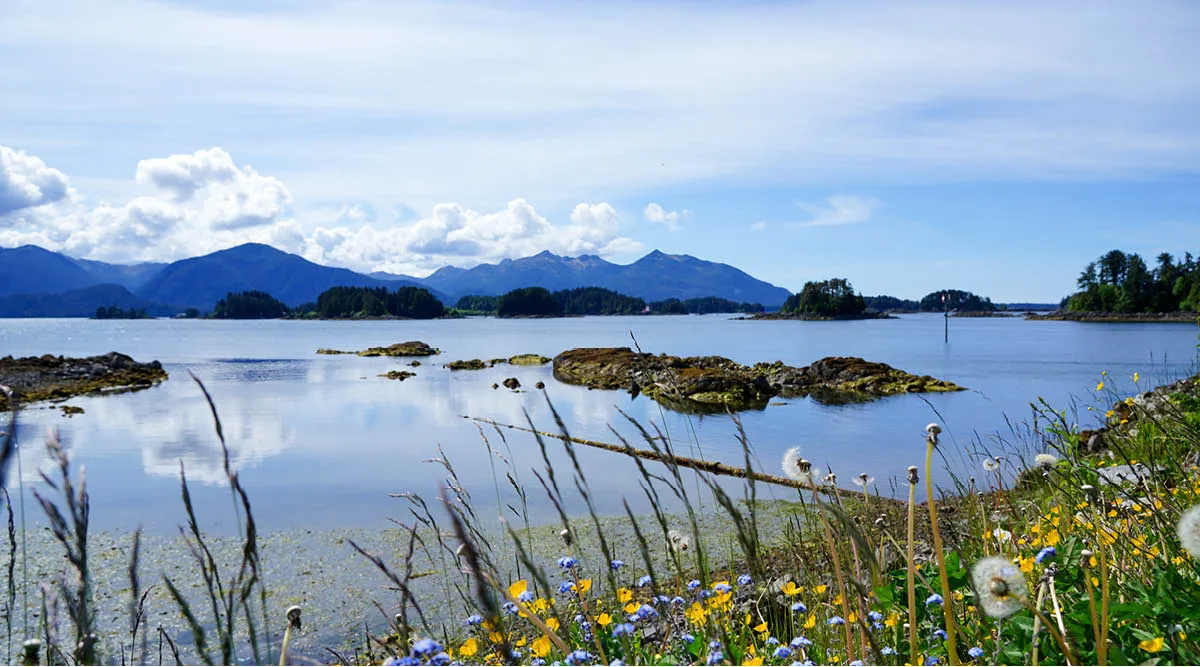 Sitka Pre or Post Cruise 