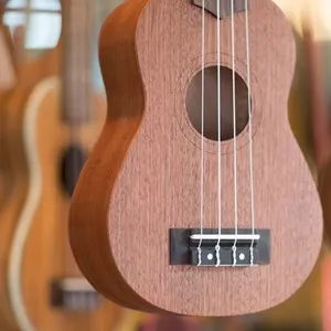 Just Ukes (Kailua-Kona)