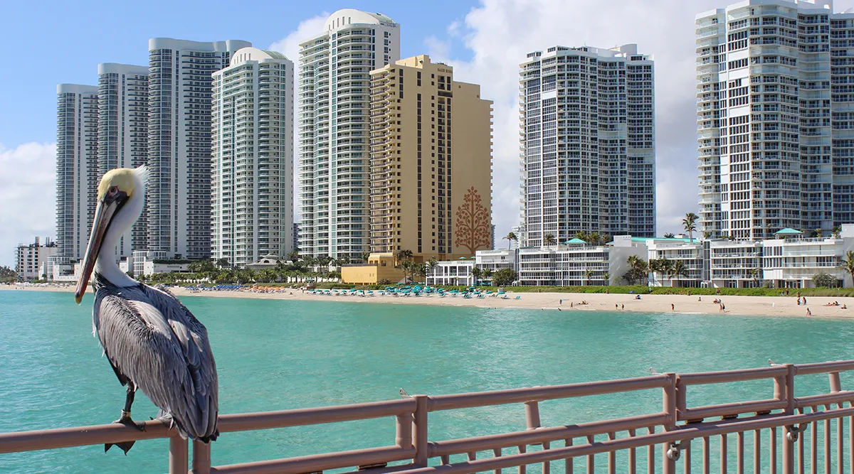 South Florida Self Drive Explorer