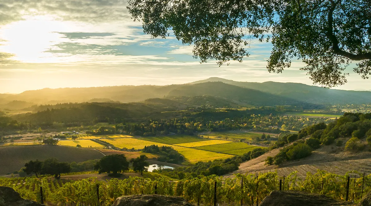 San Francisco and Napa Valley Self Drive Explorer
