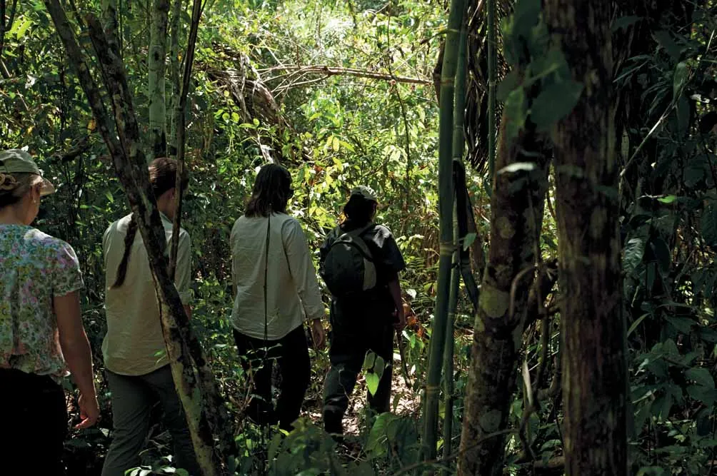 Unforgettable Peru and the Amazon