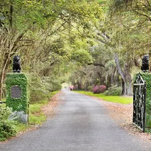 Magnolia Plantation & Gardens