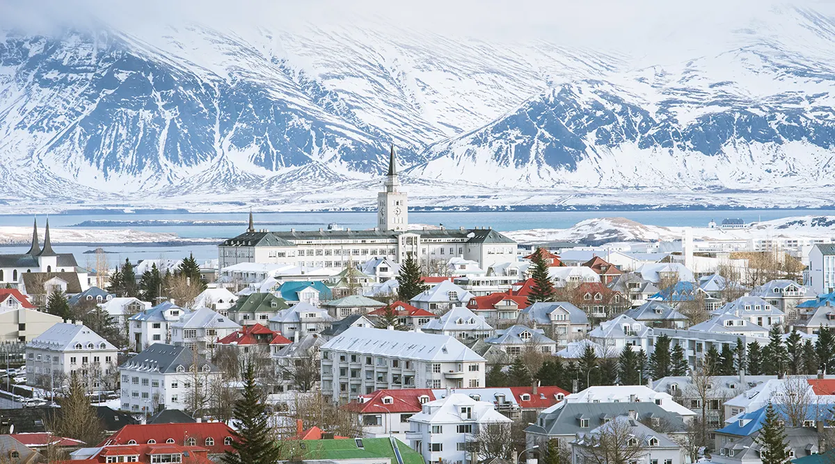 Reykjavik Discovery
