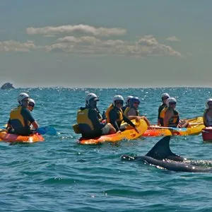 Kayaking with Dolphins