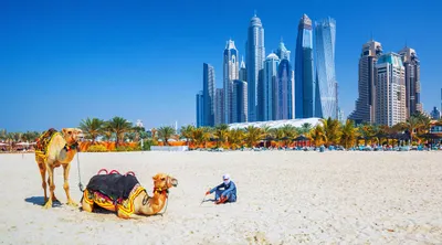 UAE and Oman Explorer