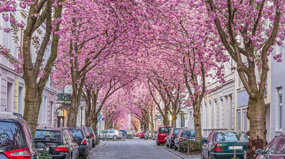 Bonn