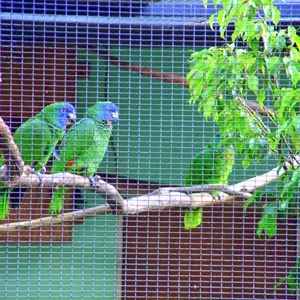 Botanical Gardens