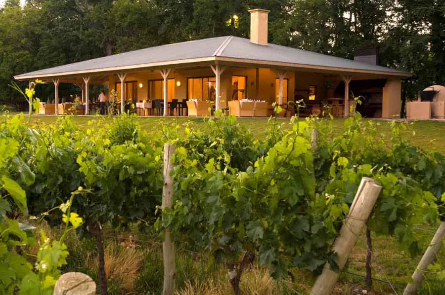Argentina and Chile Wine Country Explorer