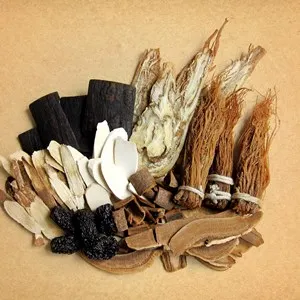 Chinese Medicine Museum / 胡庆余堂中药博物馆