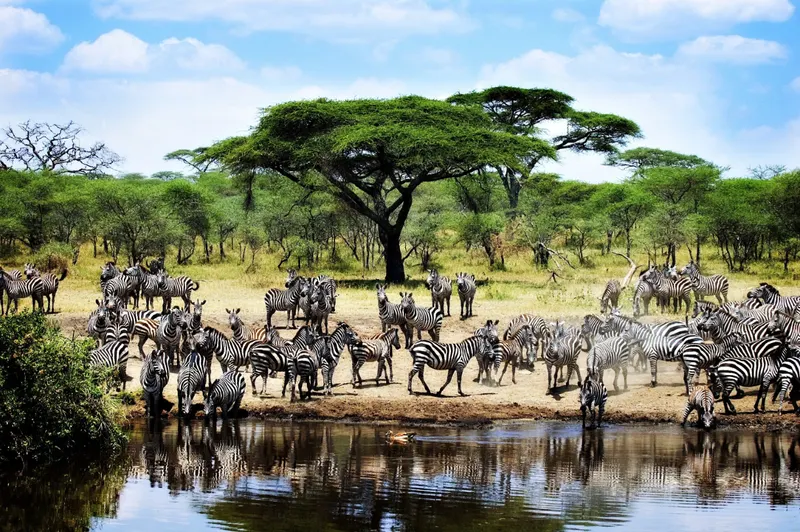 Kilimanjaro National Park