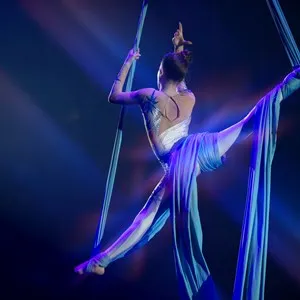 Performance by a circus acrobat artist