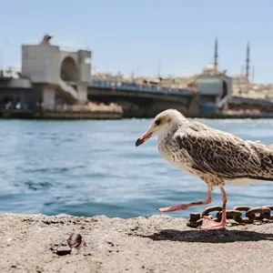 Eminönü Pier