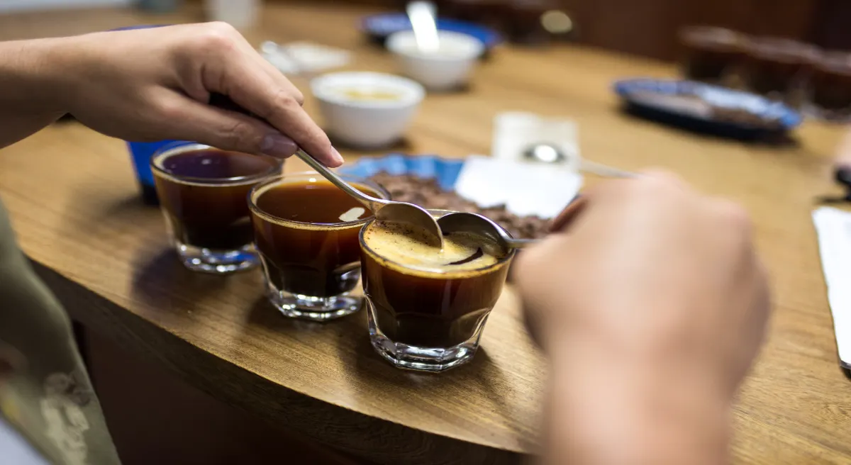 Colombia's Coffee Culture Private Journey