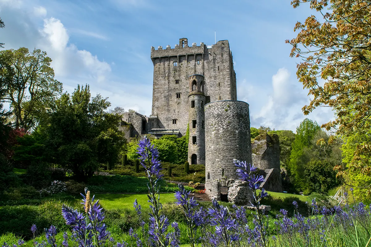 Scenic Ireland by Rail Journey