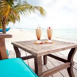 Vaani Coffee Shop (Nalaguraidhoo)