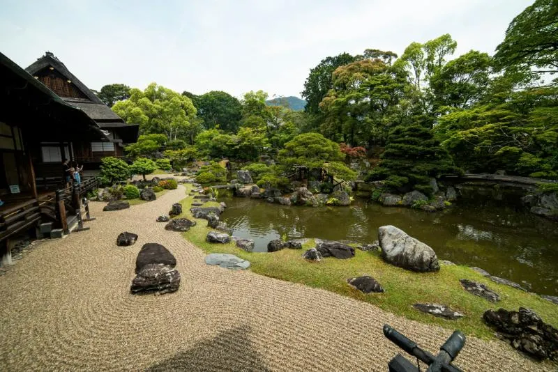 Private Journey to the Gardens of Ireland in Autumn