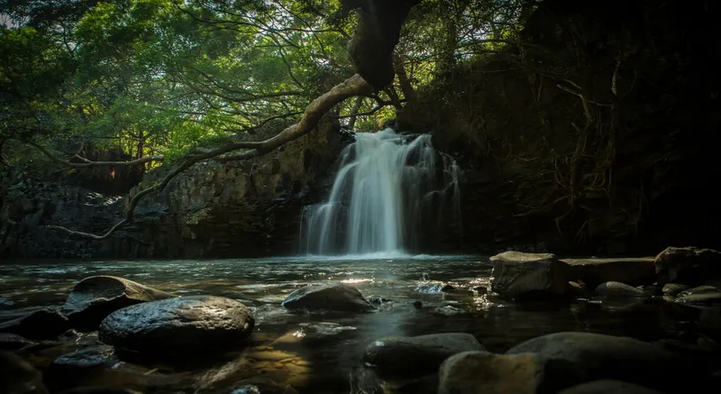 Maui Island