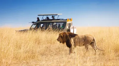 Luxury Kenya Fly In Safari