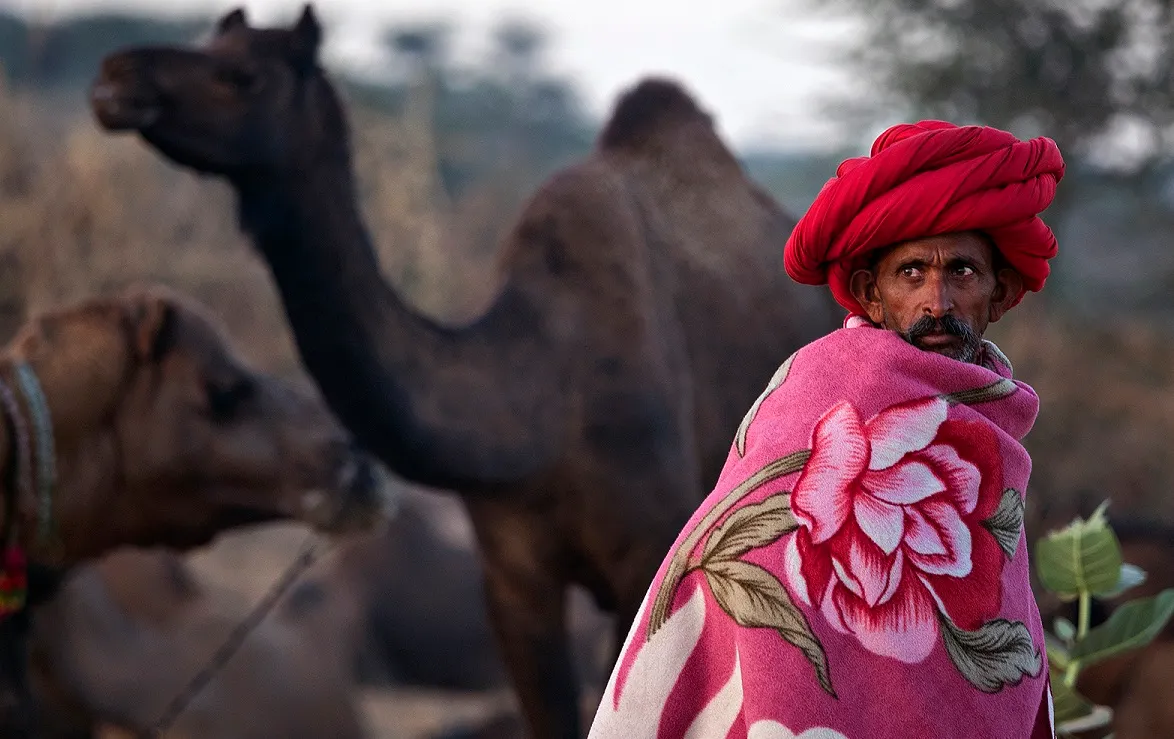 Magical India Family Adventure Private Journey