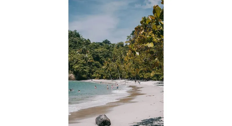 Tortuguero NP