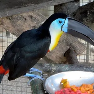 Emperor Valley Zoo